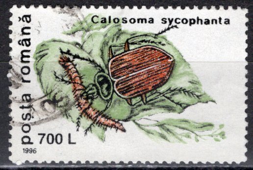 Romania; 1996: Sc. # 4086, Postally Used: Single Stamp