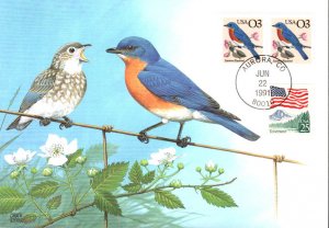 #2478 Eastern Bluebird Maxi FDC