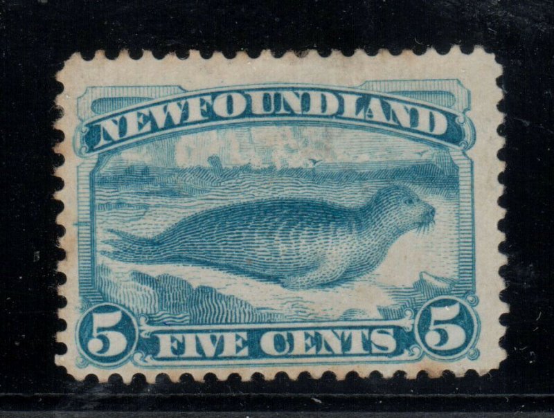 Newfoundland #53 Mint Fine Couple Of Trifle Toned Perfs