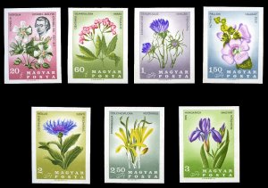 Hungary #1811-1817 Cat$20, 1967 Flowers, imperf. set of seven, never hinged