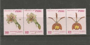 #556 - #557 Various Peruvian orchids