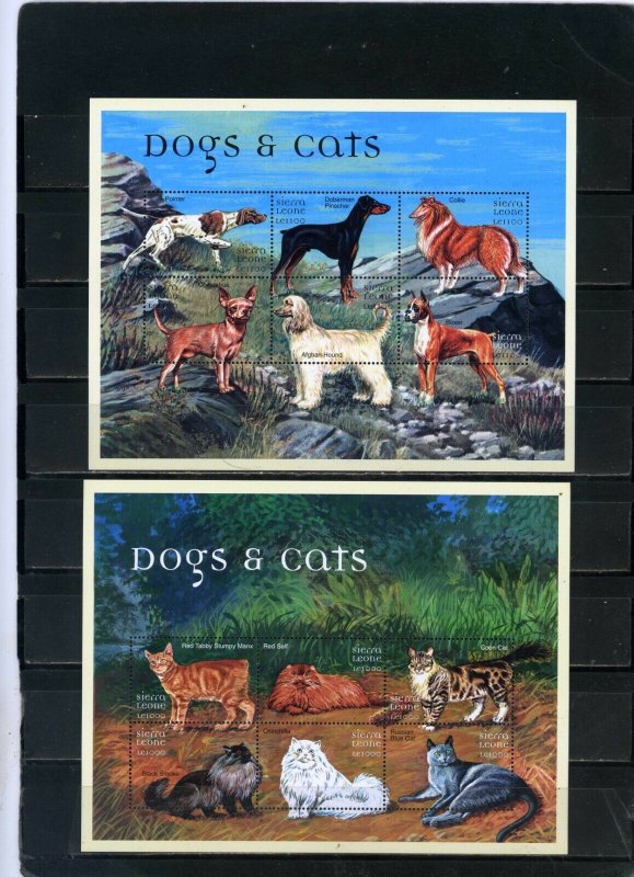 SIERRA LEONE 2000 FAUNA/CATS & DOGS 4 SHEETS OF 6 STAMPS MNH