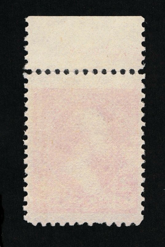 AFFORDABLE GENUINE SCOTT #250 F-VF MINT OG NH 1894 2¢ CARMINE TYPE-I BEP IMPRINT