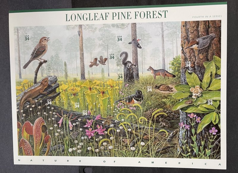 US 2002 Longleaf Pine Forest #3611 10 designs