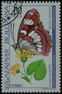 Bulgaria 4052 - Used - 60L Southern White Admiral Butterfly (1998)