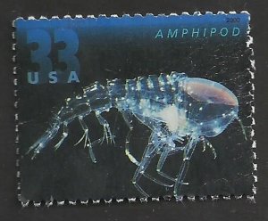 # 3442 USED AMPHIPOD