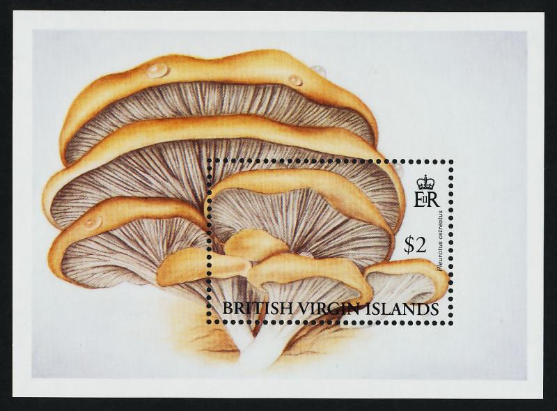 Virgin Islands 737-41 MNH Mushrooms