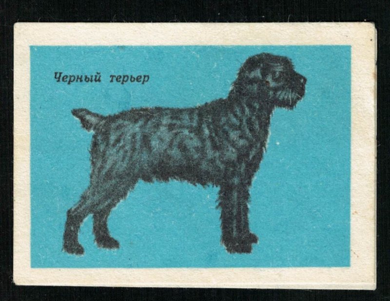 Black terrier, Matchbox Label Stamp (ST-62)