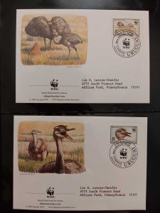 O) 1993 URUGUAY, WWF - WORLD WILDLIFE FUND,  OSTRICH, TWO WALKING,  HEAD,  FDC X