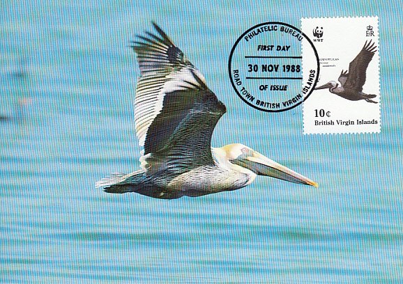 British Virgin Islands 1988 Maxicard Sc #621 10c Brown pelican WWF