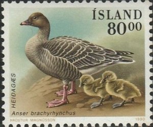 Iceland, #687 Unused From  1990