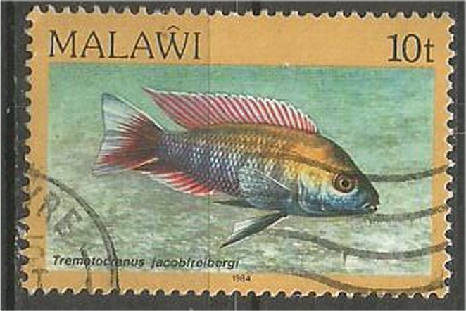 MALAWI 1984 used 10t  Aquarium  Scott 432