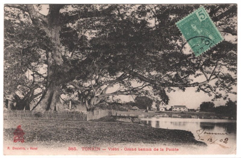 France Cols INDOCHINA Postcard Tonkin TREES View-Side 1902 {samwells}MA547