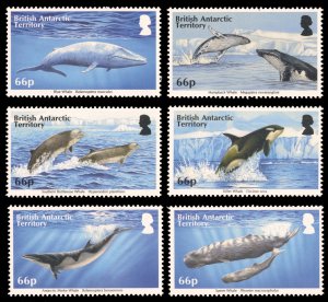 British Antarctic Territory WHALES 2015 Scott #501-506 Mint Never Hinged