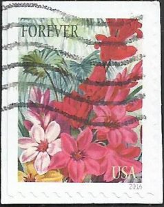 # 5042 Used Botanical Art Corn Lilies