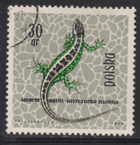 Poland 1134 Sand Lizard 1963