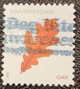 US Scott # 5968; used (56c) postcard rate, Oak Leaf from 2025; XF; off paper