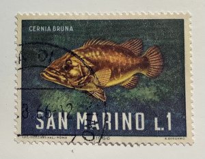 San Marino 1966 Scott 643 used - 1 L, marine life, Fish, Dusky Grouper