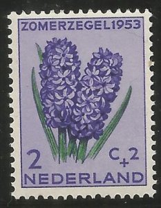 NETHERLANDS  B249  MNH, HYACINTH