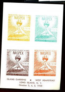 1958 NASPEX LABEL VF NH