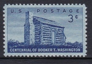 1074 Booker T Washington MNH