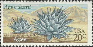 # 1943 USED AGAVE