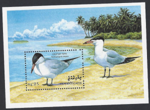 Maldive Islands #1872 MNH ss, birds, Caspian tern, issued 1993