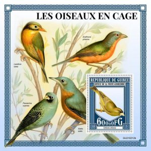 Guinea 2021 MNH Cage Birds on Stamps Greenfinch Finches 1v S/S