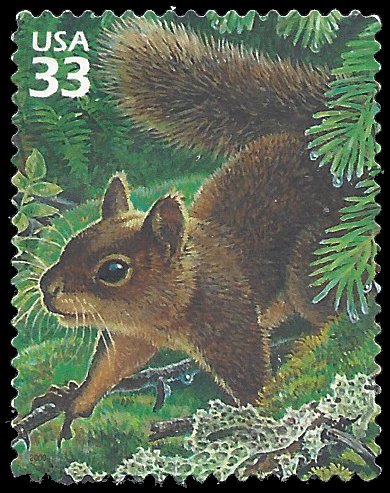 #3378i 33c Pacific Coast Rain Forest Douglas Squirrel 2000 Used