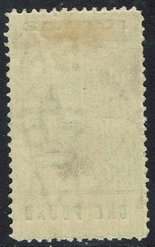 SOUTH AUSTRALIA 1902 QV THIN POSTAGE 1 POUND 