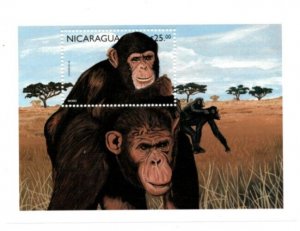 Nicaragua 1999  - Monkeys  - Souvenir Stamp Sheet - Scott #2212 - MNH