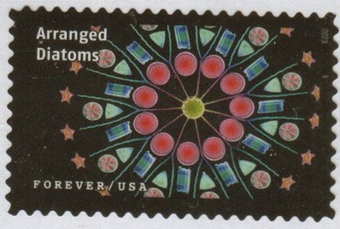 SC# 5802e - (66c) - Life Magnified, Arranged Diatoms - 5 of 20 - Used Off Paper