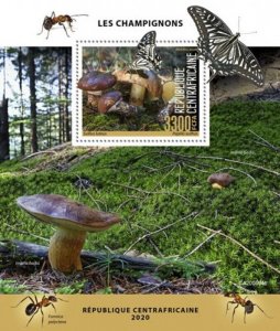 Central Africa - 2020 Mushrooms & Butterflies - Stamp Souvenir Sheet - CA200504b