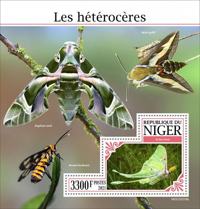 NIGER - 2021 - Moths - Perf Souv Sheet -Mint Never Hinged