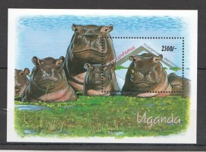 B0572 Uganda Fauna Wild Animals Hippopotamuses Bl Mnh