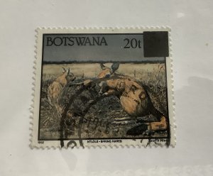 Botswana 1996 Scott 595  used - 20t, Wild animals, spring hares