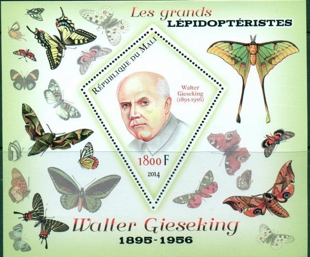 MALI SHEET BUTTERFLIES INSECTS LEPIDOPTERISTS