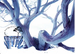 Australia 2005 Maxicard Scott #2412 50c Snowgum - Trees