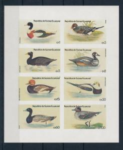 [34336] Private Issue Guinea  Birds Vögel Oiseaux Ucelli  Duck MNH Sheet