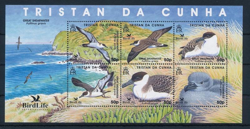 [34704] Tristan da Cunha 2007 Birds Vögel Oiseaux Ucelli   MNH Sheet