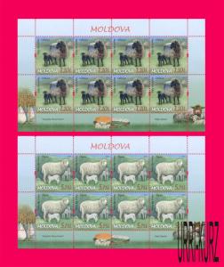 MOLDOVA 2014 Nature Fauna Farm Animals Sheep Breeds 2 m-s Sc832-833 MNH