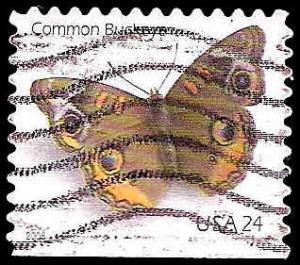 # 4001a USED COMMON BUCKEYE BUTTERFLY