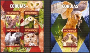 Mozambique 2016 Birds Owls Sheet + S/S MNH