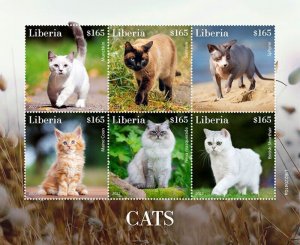 Liberia - 2022 Cat Breeds, Sphynx, Maine Coon - 6 Stamp Sheet - LIB220410a