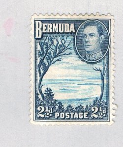 Bermuda 120 MLH Grape Bay 1 1938 (BP64504)