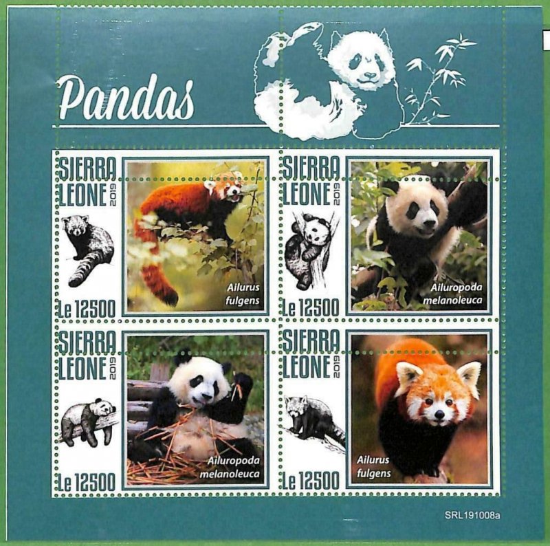 A2584 - SIERRA LEONE - ERROR: MISPERF Miniature Blade - 2019, Panda Bears-