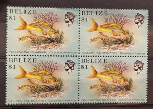 (610) BELIZE 1984 : Sc# 711 YELLOW TAIL SNAPPER - MNH VF BLOCK OF 4