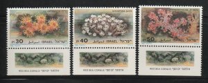 Israel 1986 Red Sea Coral Sc 932-934 MNH A4211
