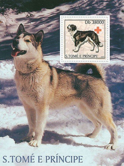 SAO TOME - 2003 - Dogs - Perf Souv Sheet - Mint Never Hinged