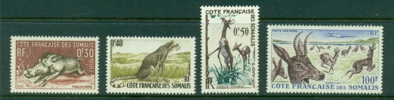 Somali Coast 1958 Wildlife MLH